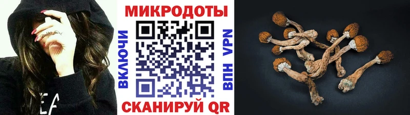 Псилоцибиновые грибы мицелий  Киреевск 