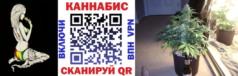 купить  сайты  нарко площадка клад  Шишки марихуана индика  Киреевск 